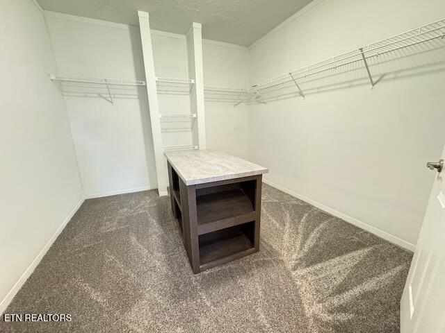 120 Underwood Road Sweetwater, TN 37874 - Photo 25 of 37 IMG_9503