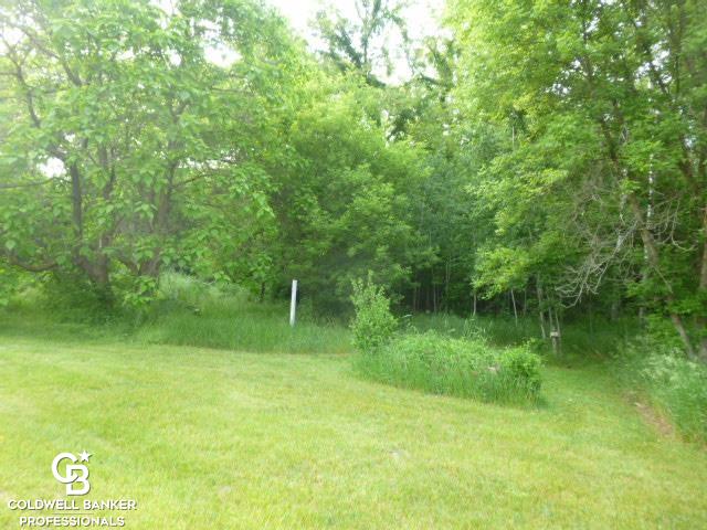 7672 Kitchen Road Goodells, MI 48027 - Photo 33 of 44