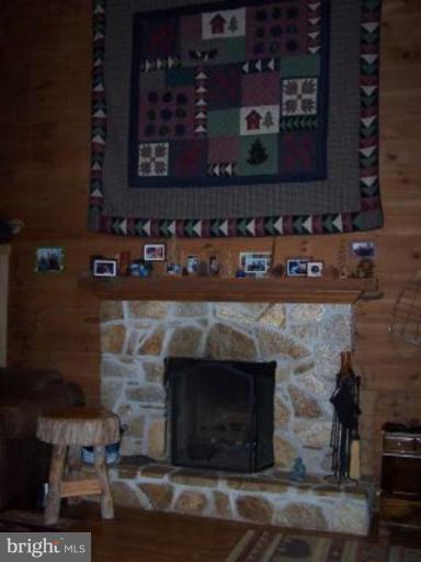 1040 Bloom Road Westminster, MD 21157 - Photo 3 of 24 Fireplace