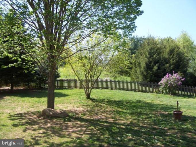 1040 Bloom Road Westminster, MD 21157 - Photo 4 of 24 Back yard