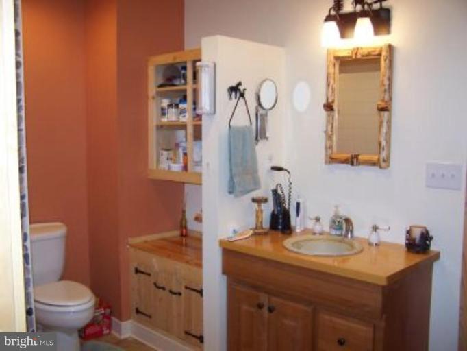 1040 Bloom Road Westminster, MD 21157 - Photo 10 of 24 Master Bath