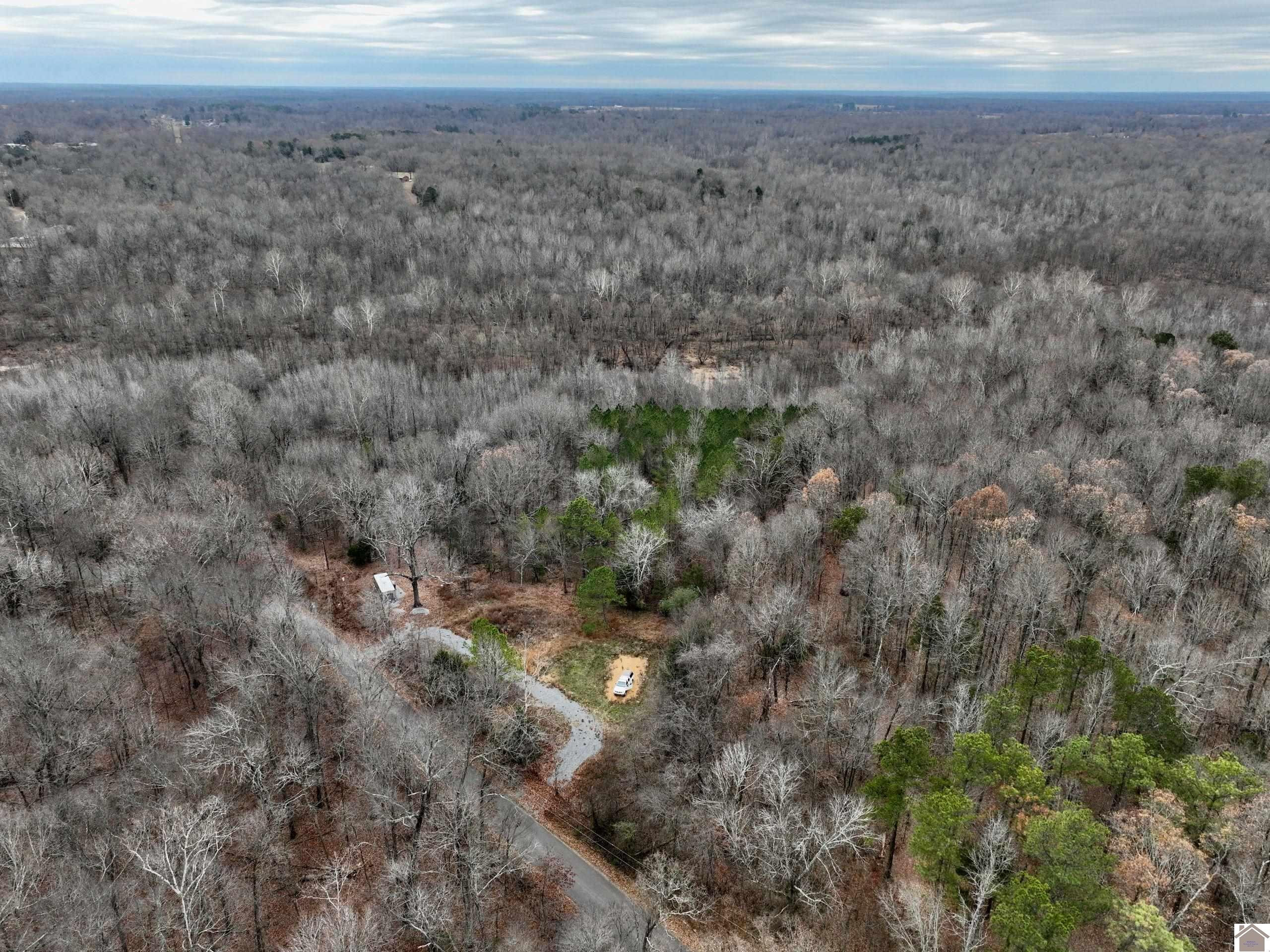 3445 Dooms Chapel Road Symsonia, KY 42082 - Photo 1 of 1 Photo 1