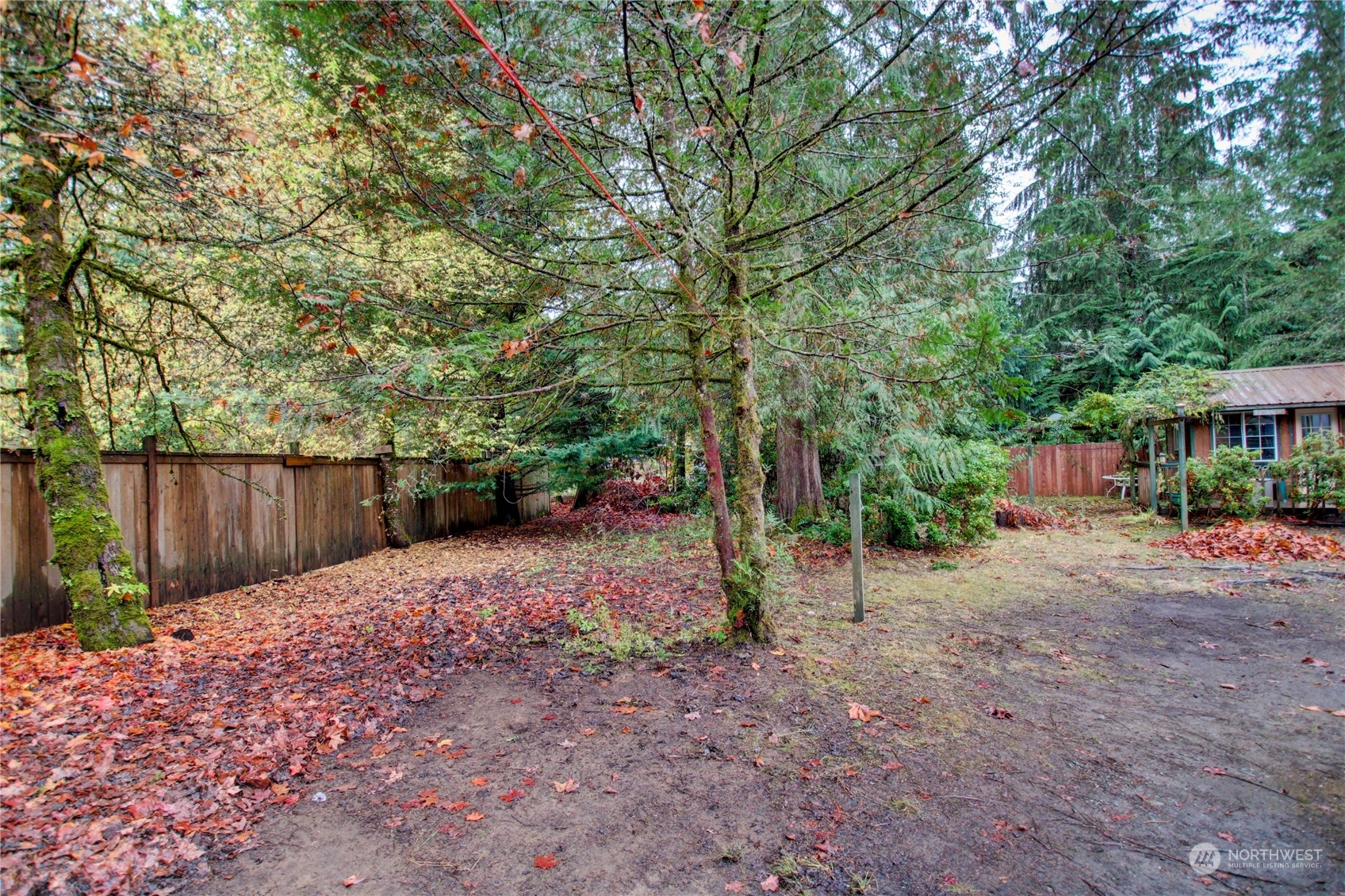 46608 Baker Loop Road Concrete, WA 98237 - Photo 7 of 28 Gallery Image 7