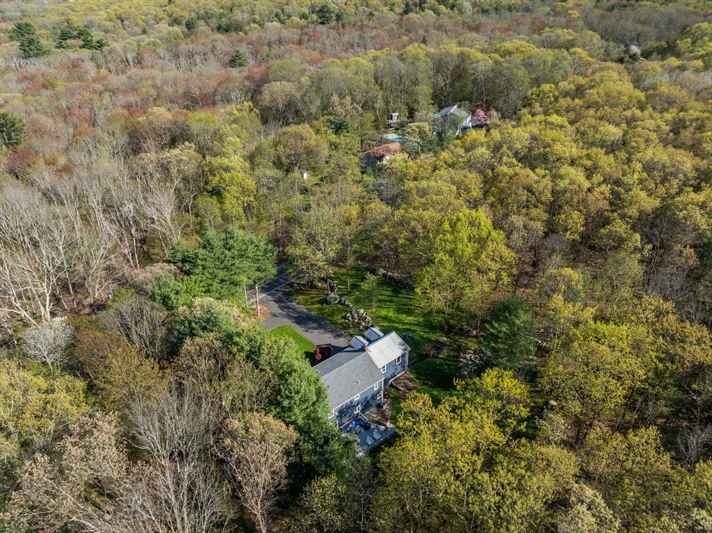 1563 Bay Road Sharon, MA 02067 - Photo 36 of 41 an aerial view of residential house with space and trees all around