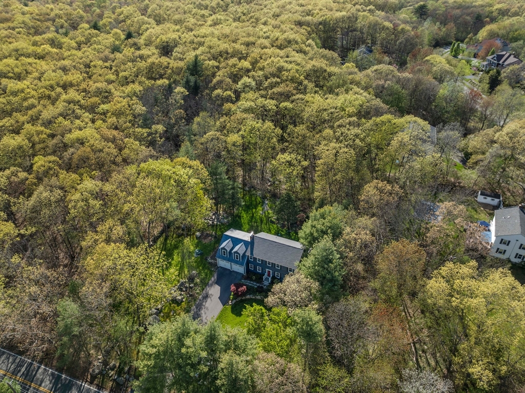 1563 Bay Road Sharon, MA 02067 - Photo 37 of 41 an aerial view of a house with a yard