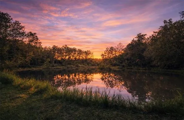 $775,000 | 23708 Hutchinson Road, Springfield, LA 70462