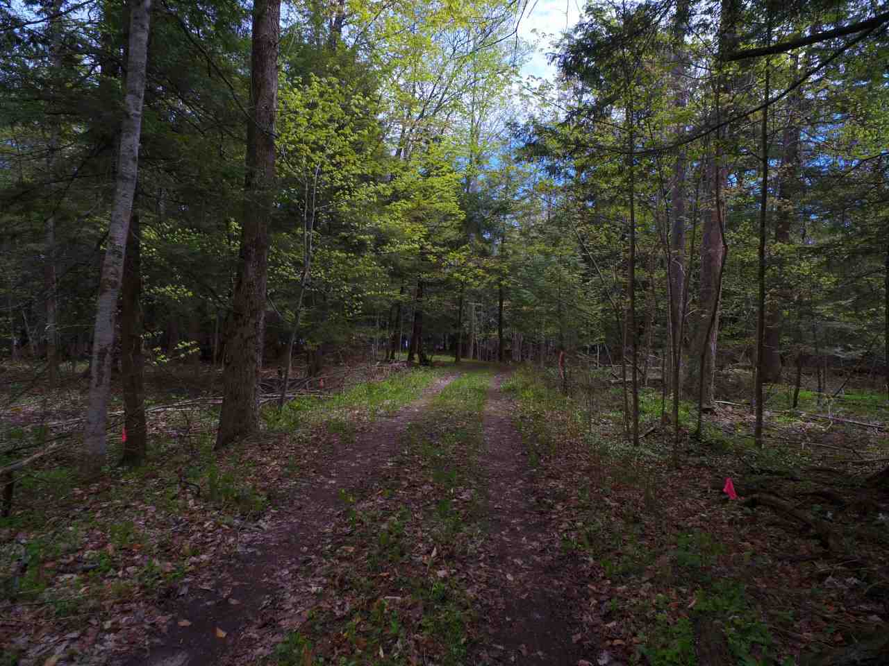 5044 Omena Point Road Omena, MI 49674 - Photo 39 of 44 1835774-38.JPG