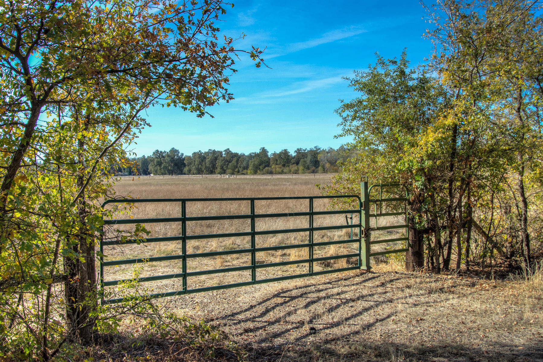a view of a fence