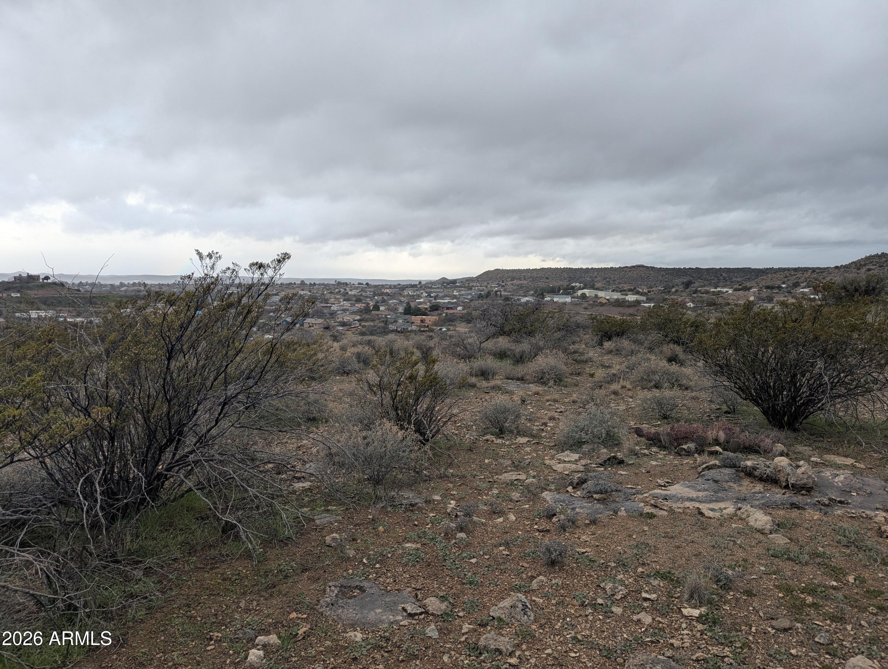 a view of a dry space with lots of trees