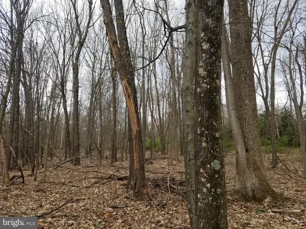 $24,880 | 28 Anderson Ridge Road, Wardensville, WV 26851