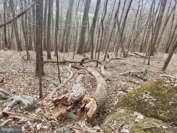 $24,880 | 28 Anderson Ridge Road, Wardensville, WV 26851