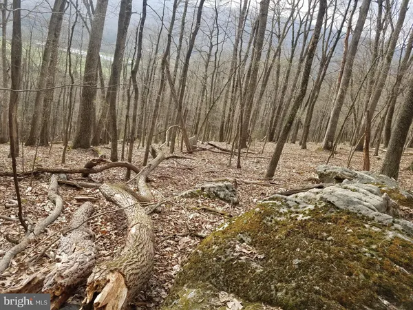 $24,880 | 28 Anderson Ridge Road, Wardensville, WV 26851