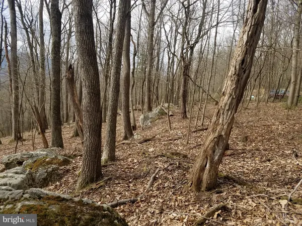 $24,880 | 28 Anderson Ridge Road, Wardensville, WV 26851