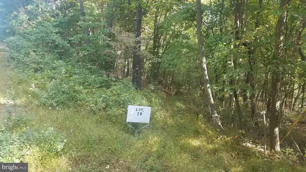 $24,880 | 28 Anderson Ridge Road, Wardensville, WV 26851