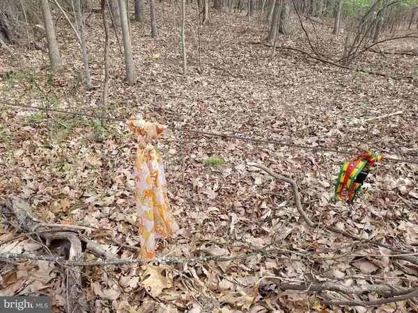 $24,880 | 28 Anderson Ridge Road, Wardensville, WV 26851