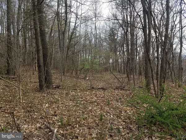 $24,880 | 28 Anderson Ridge Road, Wardensville, WV 26851