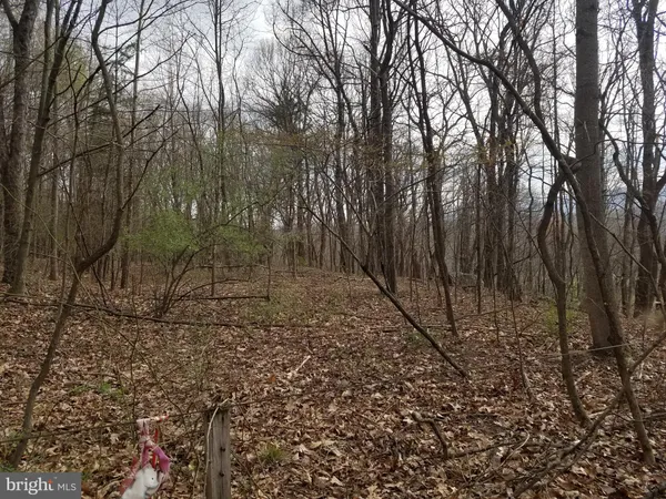 $24,880 | 28 Anderson Ridge Road, Wardensville, WV 26851
