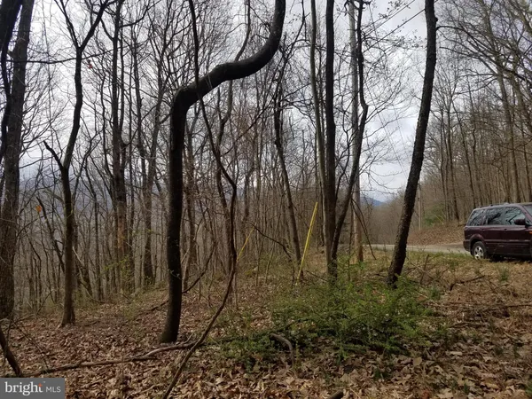 $24,880 | 28 Anderson Ridge Road, Wardensville, WV 26851