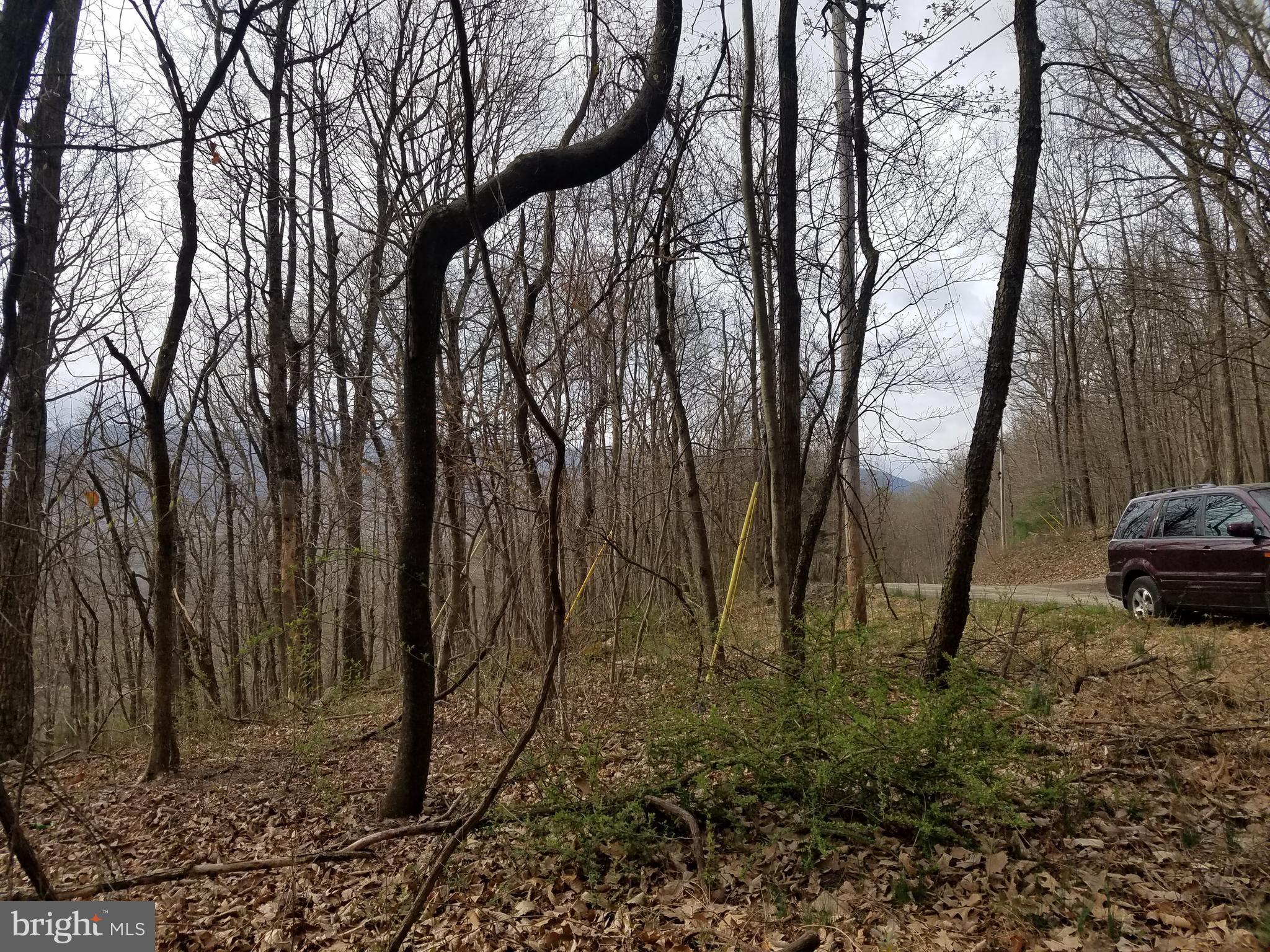 28 Anderson Ridge Road Wardensville, WV 26851 - Photo 8 of 18