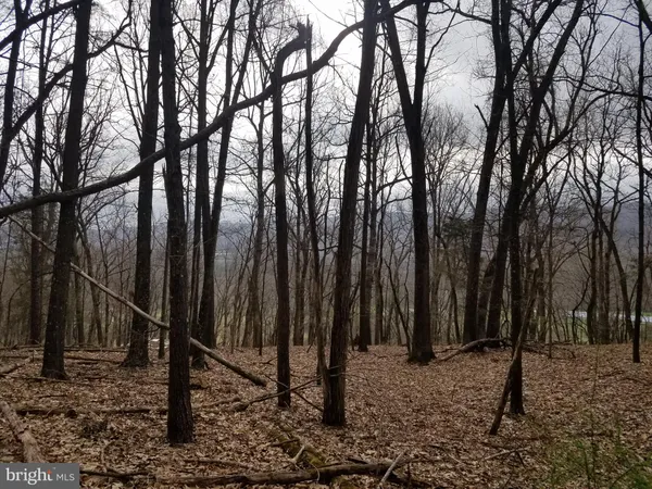 $24,880 | 28 Anderson Ridge Road, Wardensville, WV 26851