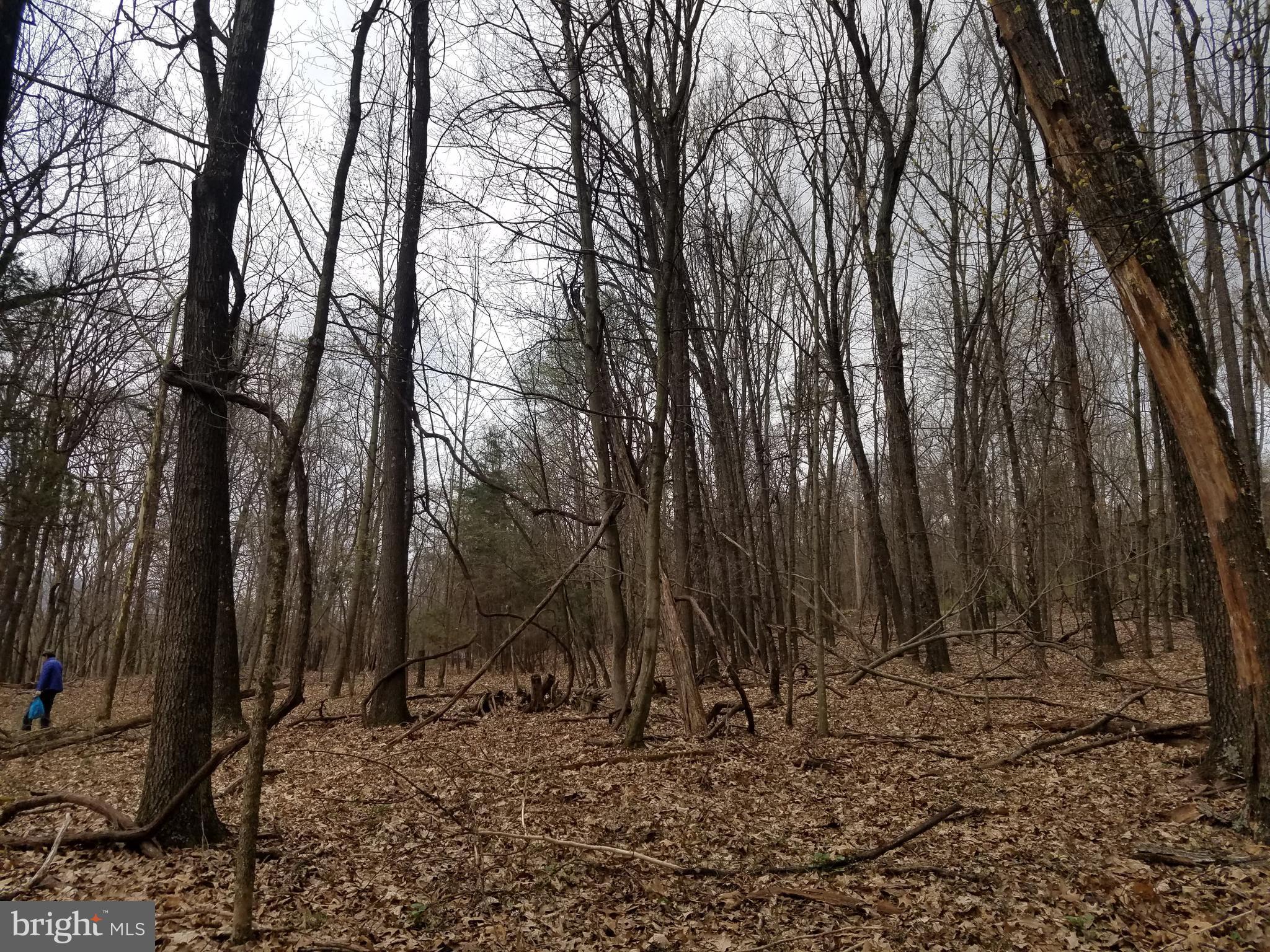 28 Anderson Ridge Road Wardensville, WV 26851 - Photo 10 of 18