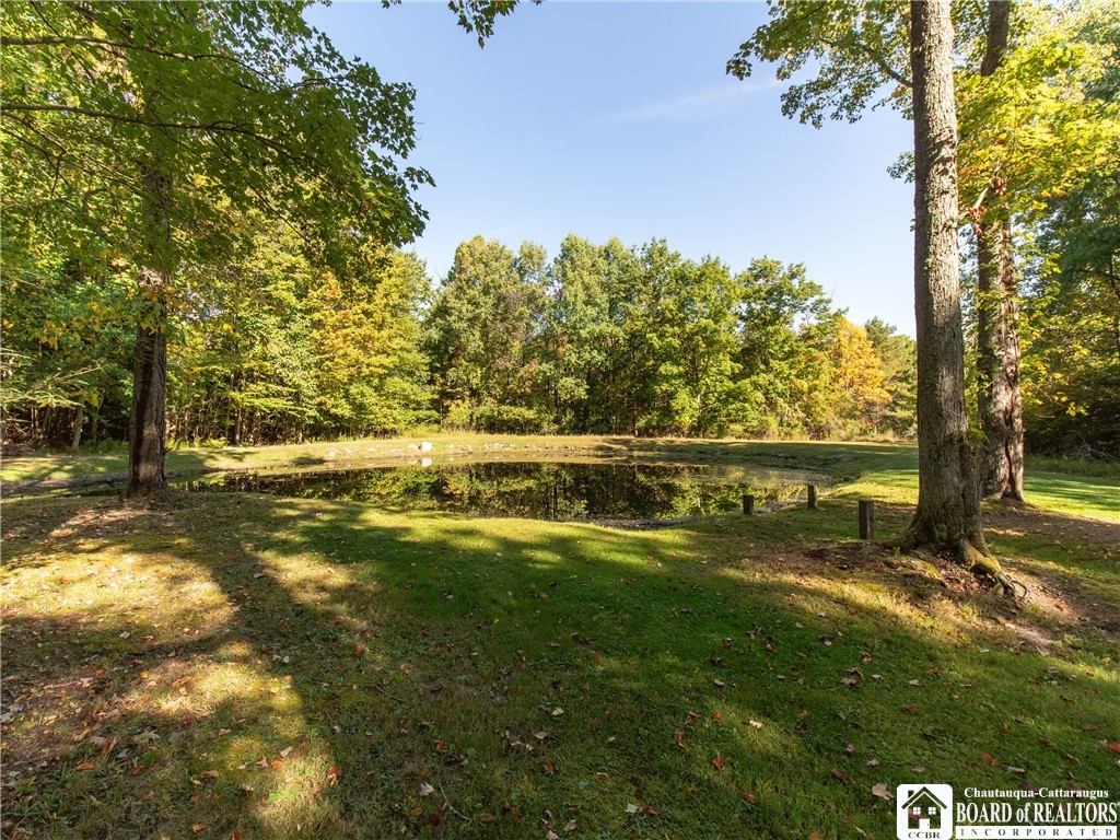 5236 Bly Hill Road North Harmony, NY 14710 - Photo 3 of 39