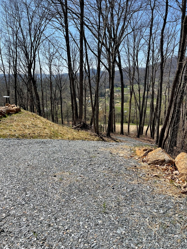17 M Ridges Hayesville, NC 28904 - Photo 21 of 30