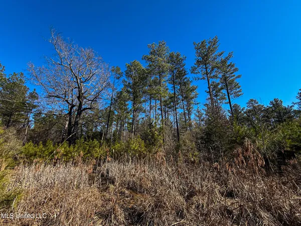 $130,350 | Dr Sears Road, West Point, MS 39773