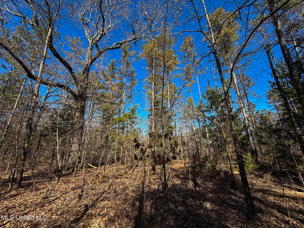 $130,350 | Dr Sears Road, West Point, MS 39773