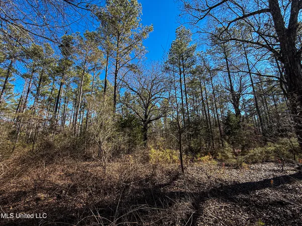 $130,350 | Dr Sears Road, West Point, MS 39773