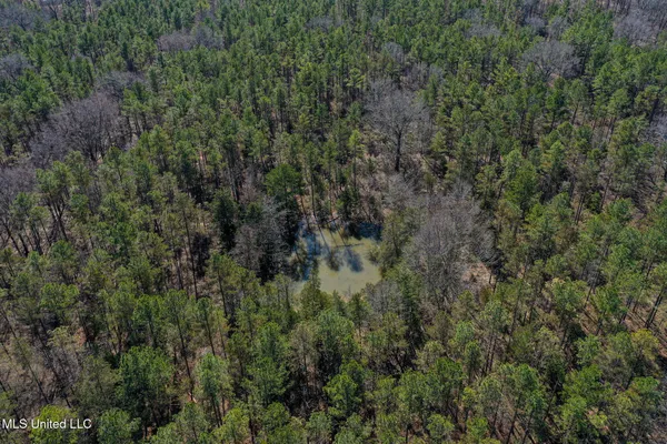 $130,350 | Dr Sears Road, West Point, MS 39773