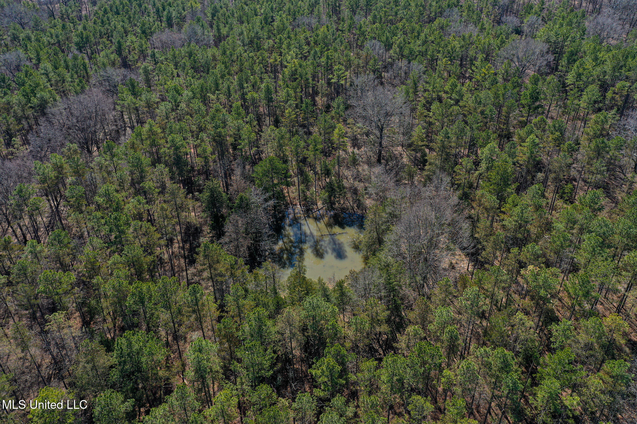 Dr Sears Road West Point, MS 39773 - Photo 17 of 35 DJI_0605
