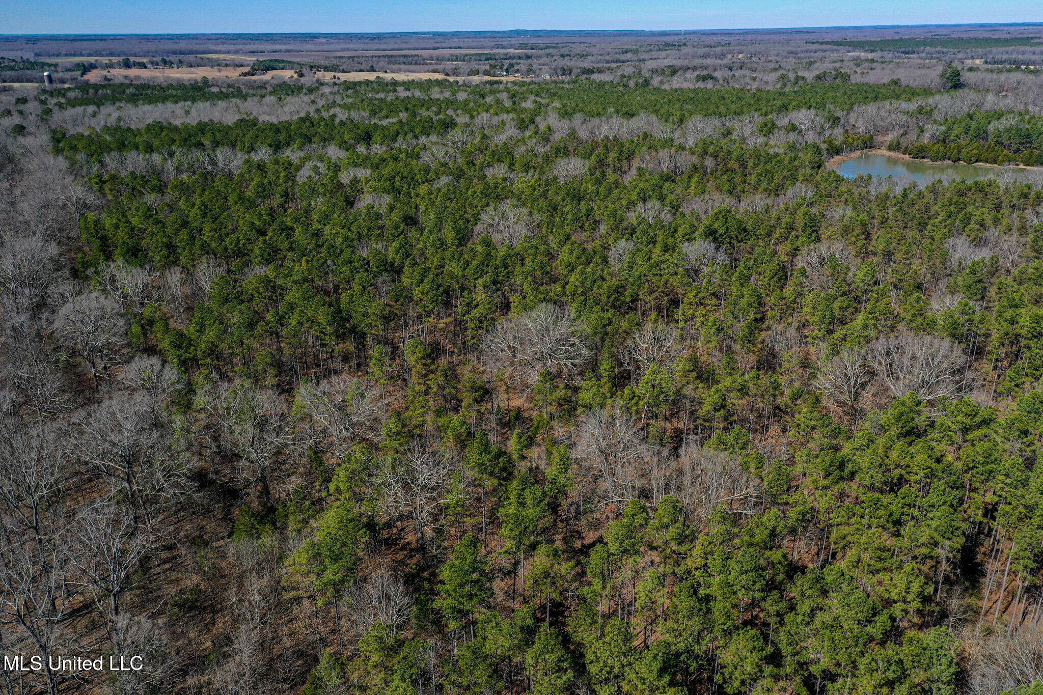 Dr Sears Road West Point, MS 39773 - Photo 19 of 35 DJI_0606
