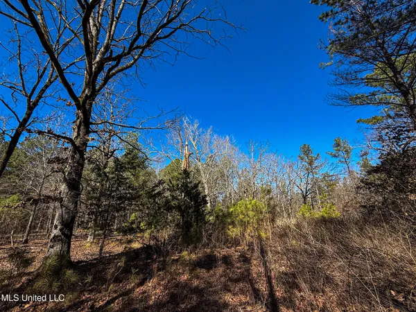 $130,350 | Dr Sears Road, West Point, MS 39773