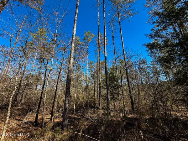 $130,350 | Dr Sears Road, West Point, MS 39773