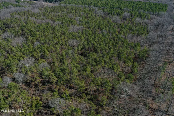$130,350 | Dr Sears Road, West Point, MS 39773