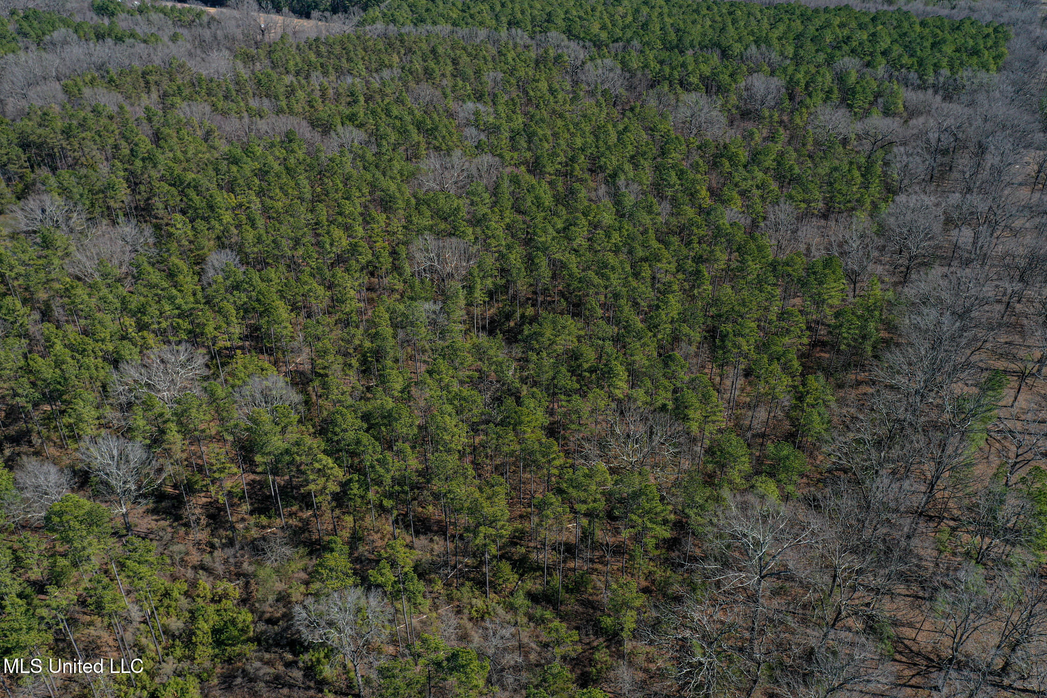 Dr Sears Road West Point, MS 39773 - Photo 25 of 35 DJI_0611