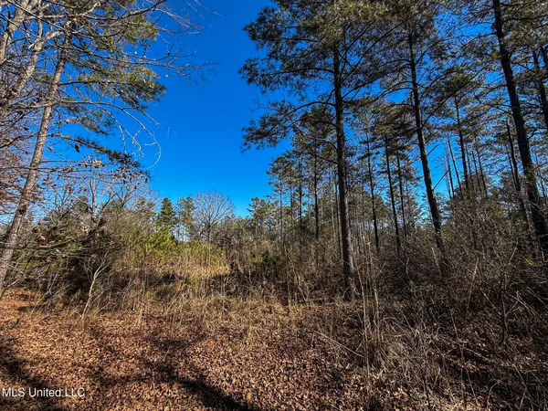$130,350 | Dr Sears Road, West Point, MS 39773