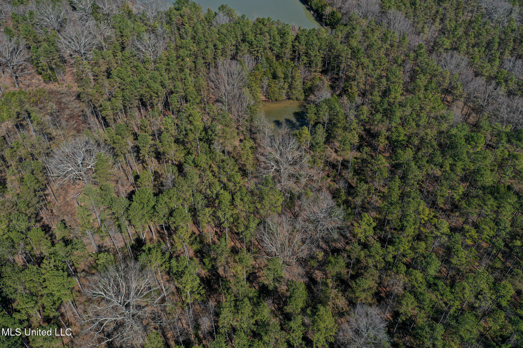 Dr Sears Road West Point, MS 39773 - Photo 27 of 35 DJI_0612