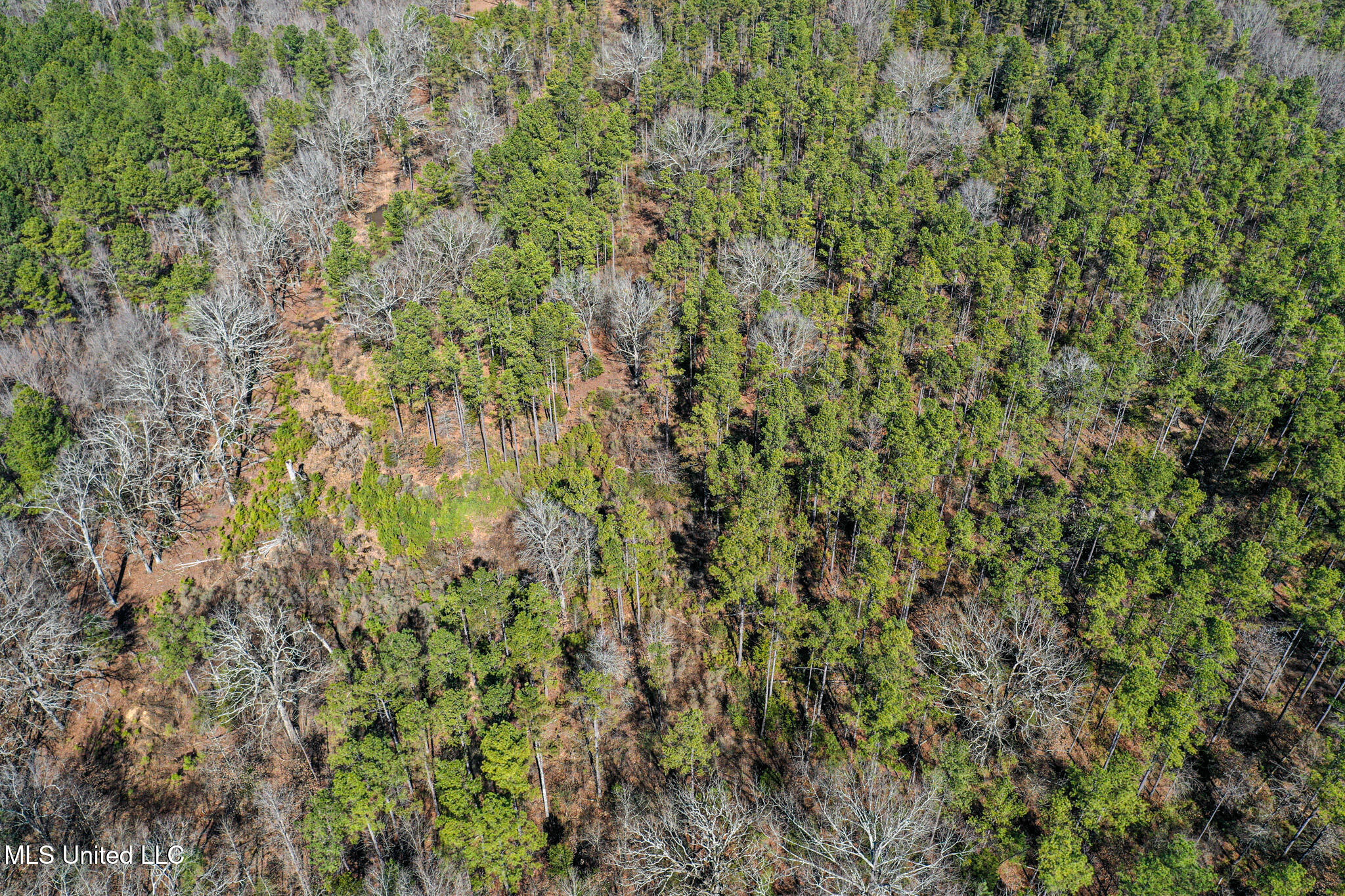 Dr Sears Road West Point, MS 39773 - Photo 29 of 35 DJI_0615