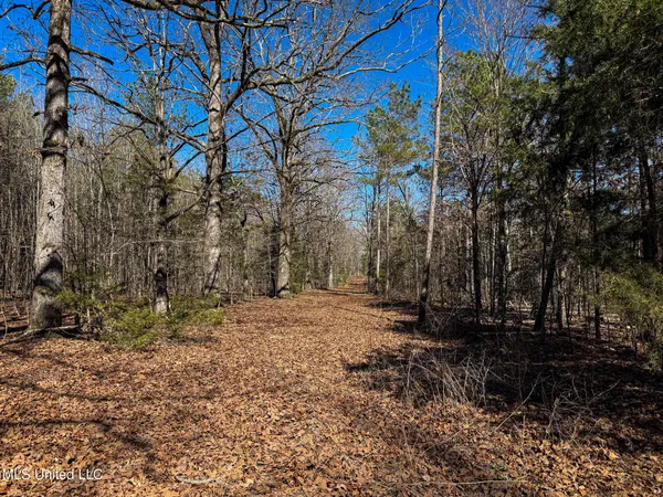 $130,350 | Dr Sears Road, West Point, MS 39773