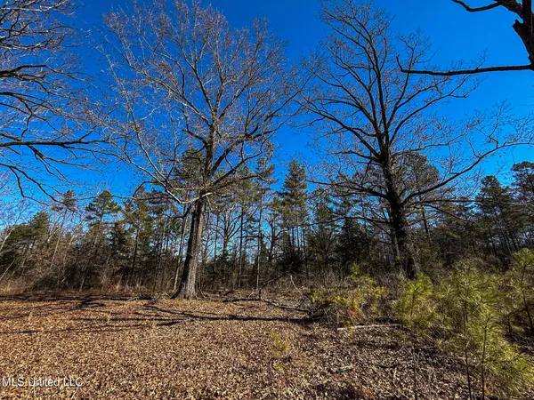 $130,350 | Dr Sears Road, West Point, MS 39773