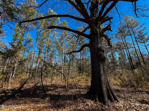 $130,350 | Dr Sears Road, West Point, MS 39773