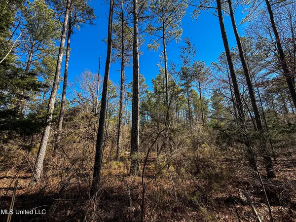 $130,350 | Dr Sears Road, West Point, MS 39773