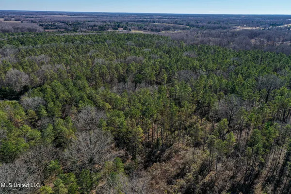 $130,350 | Dr Sears Road, West Point, MS 39773