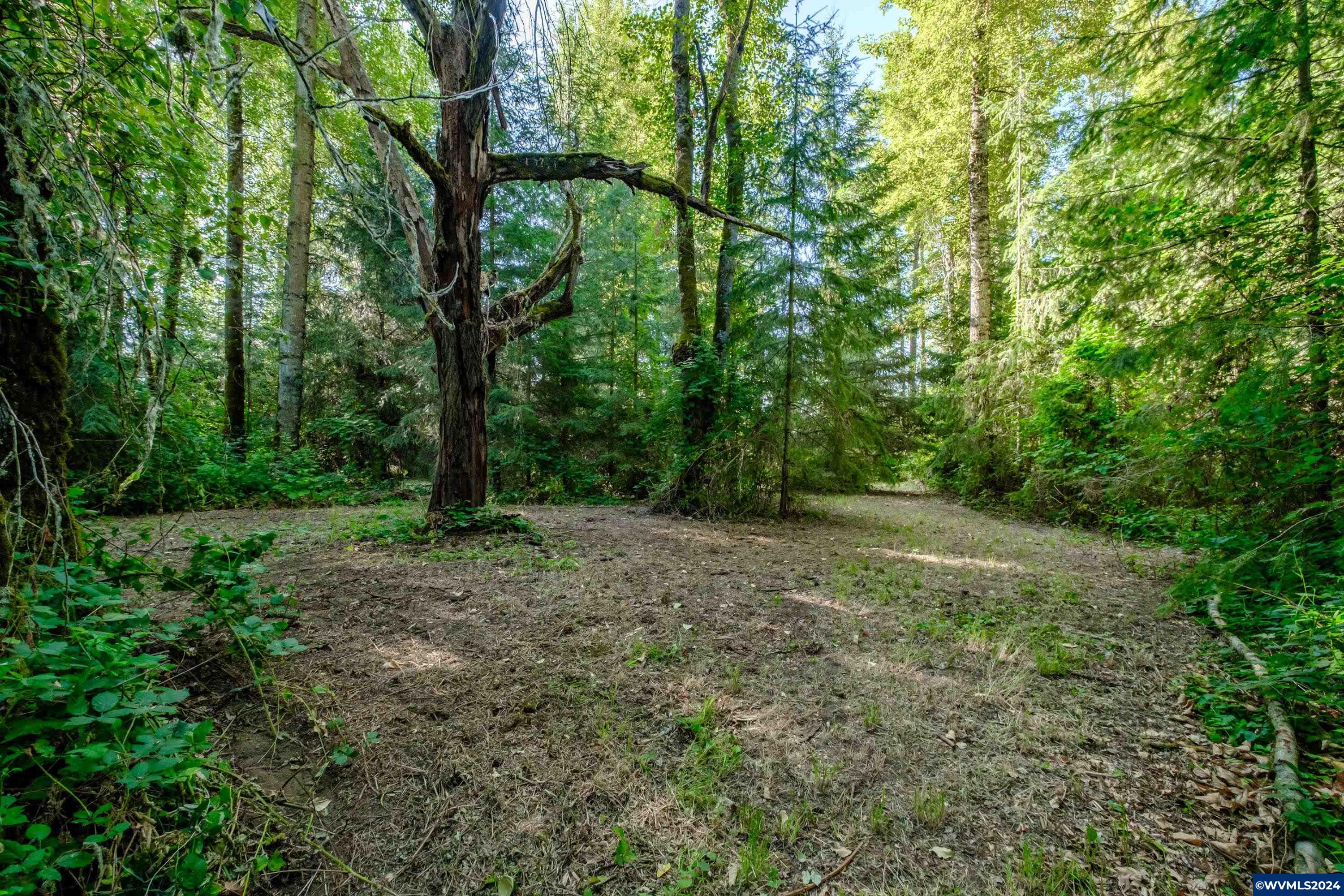 Lot 3 Matheny Road Gervais, OR 97026 - Photo 5 of 27