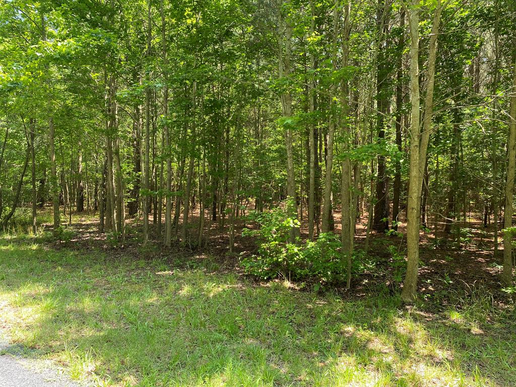 Lot 5 Narrow Channel Branch Road, Unit 5 Cape Charles, VA 23310 - Photo 1 of 6