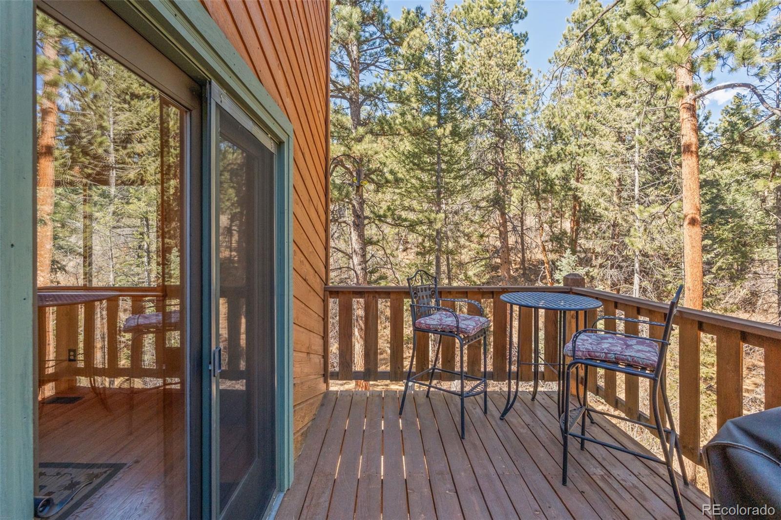 8722 Ault Lane Morrison, CO 80465 - Photo 35 of 50