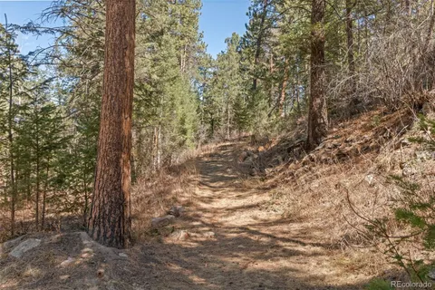 $1,050,000 | 8722 Ault Lane, Morrison, CO 80465