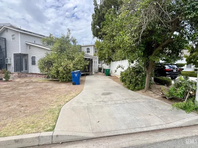 a view of a backyard that has plants and large tree